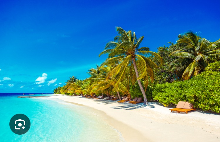 Naveen - Perles - Berne | Strip Tease