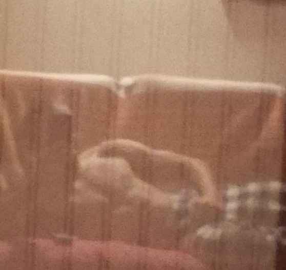 Swen - Bettens - Vaud | Strip Tease