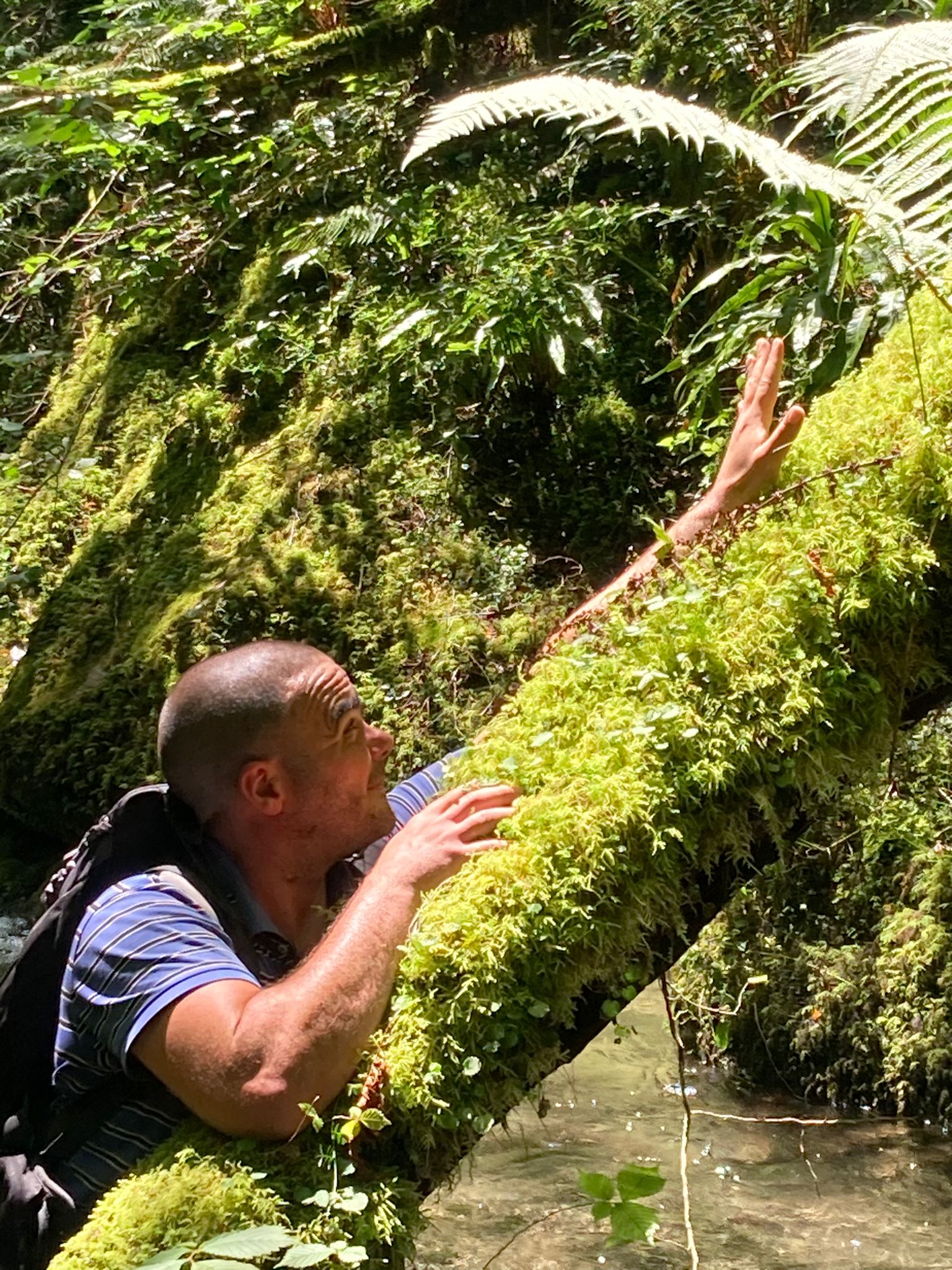 Gabyn - Aarau Rohr - Argovie | Strip Tease