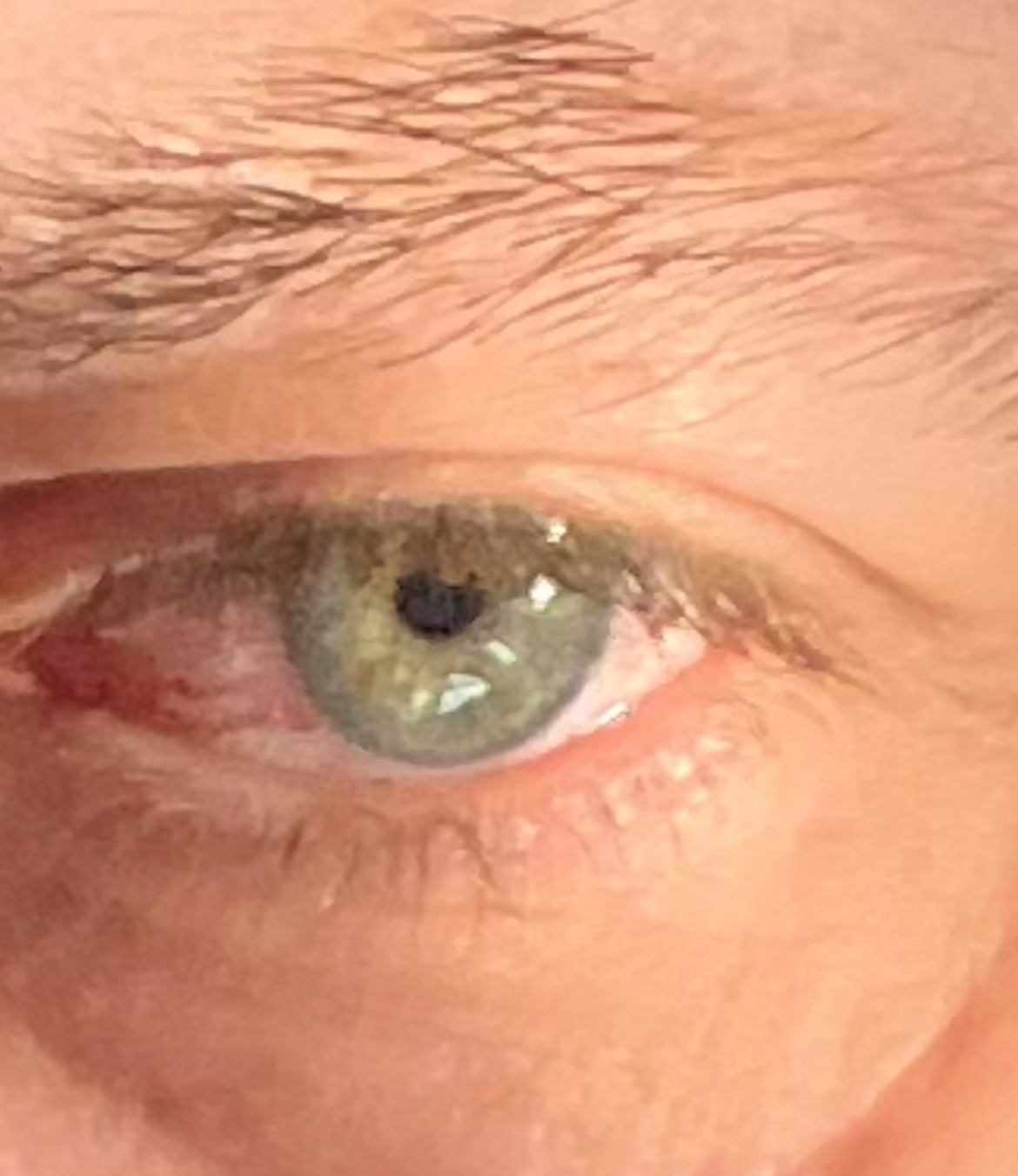 Morann - Claro - Tessin | Strip Tease