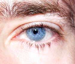 Maturin - La Brévine - Neuchâtel | Strip Tease